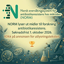 NORm stipende utlysning 2026